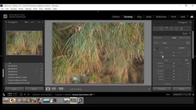 Free Adobe Lightroom CC Course for Beginners (Photo Editing Tutorial)