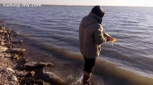 Рыбалка на Карпа и Амура в октябре 2015