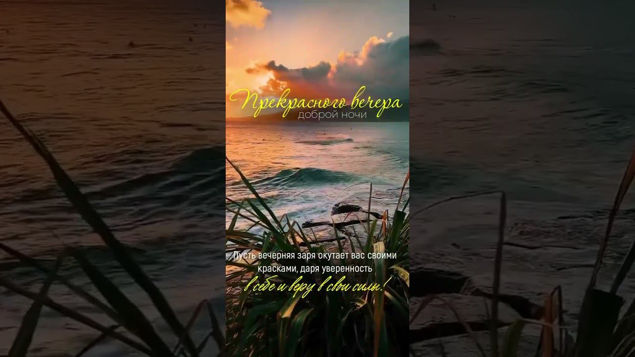 Прекрасного вечера.Доброй ночи #прекрасноговечера #добройночи