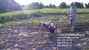 Окучивание мотоблоком  м1050 Китайский Фаворит Картошка