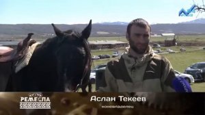 Выставка лошадей Карачаевской породы.