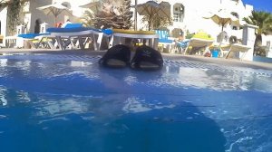 Отдых в Тунисе 2020-остров Джерба часть 1 Отель//Holidays in Tunisia in the island of Djerba