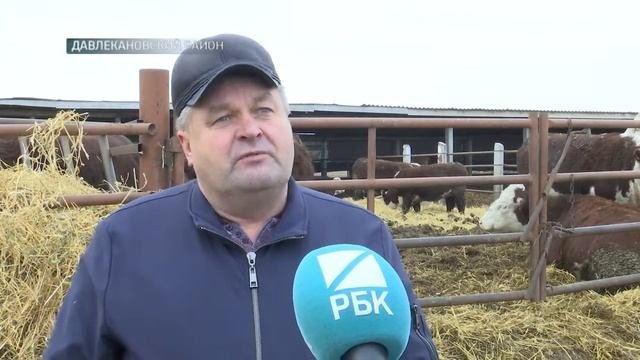 Территория развития. КФХ 