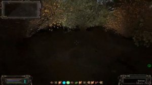 ОП-2.1 Забытый Лес ищем схрон с оружием и показываю на карте где и что находится.