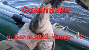 Сомятники: р. Волга 2023. Часть - 17.