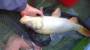 рыбалка Астрахань 2023 река Кизань