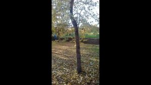 Бабье лето