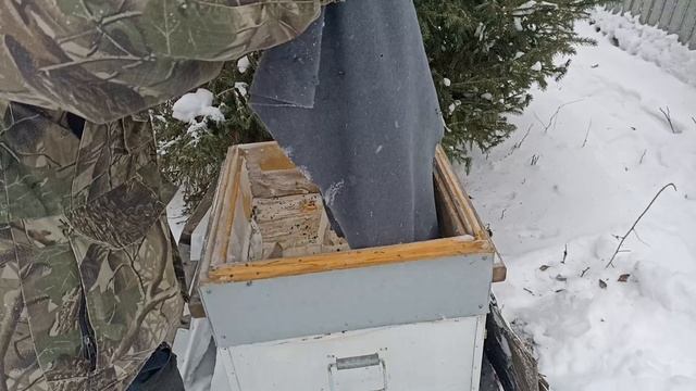 проверил пчел после морозов. смотреть онлайн