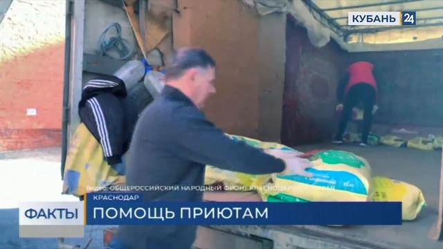 ОНФ Кубани отправил около 3 тонн корма приютам для животных в ДНР и ЛНР