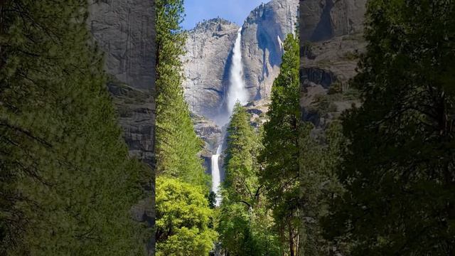 Оазис спокойствия в захватывающем дух национальном парке Йосемити🏞️