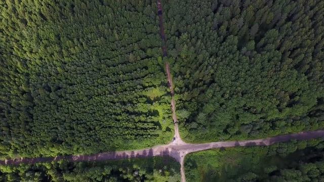 Дорога в Новинку, лесной край... смотреть онлайн