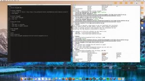 How to install MongoDB on Mac OS X