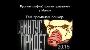 СВИНТУС ПРИДЁТ