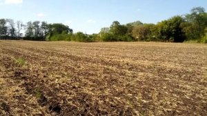 взрывпакет:серебрянка и марганцовка-20 грамм