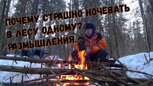 Зимний поход в лес без палатки. Почему страшно одному ночевать в лесу.