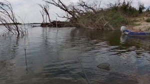 КУЧА ПОКЛЕВОК! И МОРЕ РЫБАКОВ! РЫБАЛКА НА НИЖНЕЙ ВОЛГЕ АСТРАХАНСКАЯ ОБЛАСТЬ