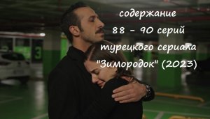 Содержание 88, 89 и 90 серий турецкого сериала "Зимородок" (РФ, 2023)