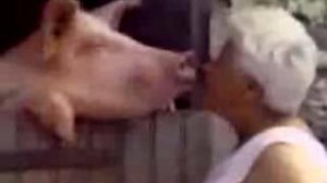 Нарезка приколов