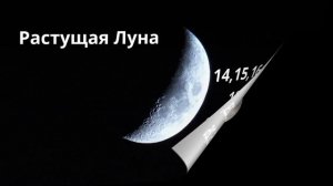 Фазы луны в Ноябре 2023 года