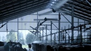 Мелкий рогатый скот: видео оборудования
