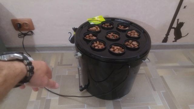 #Аквапот #Clon на #9ть мест гидропонная система #DWC смотреть онлайн