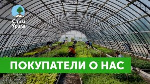 Отзывы заказчиков о питомнике Сады Урала. Самовывоз Осень 2021