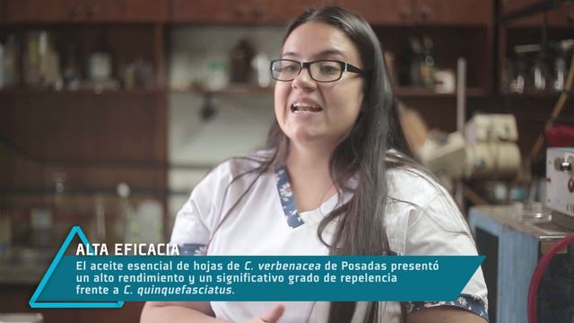 INVESTIGA A LA PLANTA MARÍA PRETA PARA CONVERTIRLA EN REPELENTE DE MOSQUITOS