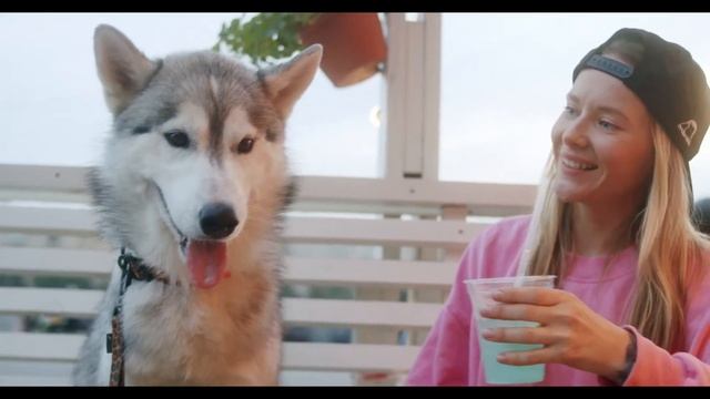 Красивые стихи под музыку - найдите повод для улыбки смотреть онлайн