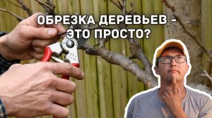 Обрезка деревьев весной. Принципы обрезки. Что срезать и почему?