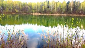 Подготавливаю новое место для съемок в лесу,жарю сало,пеку картошку и пью чай