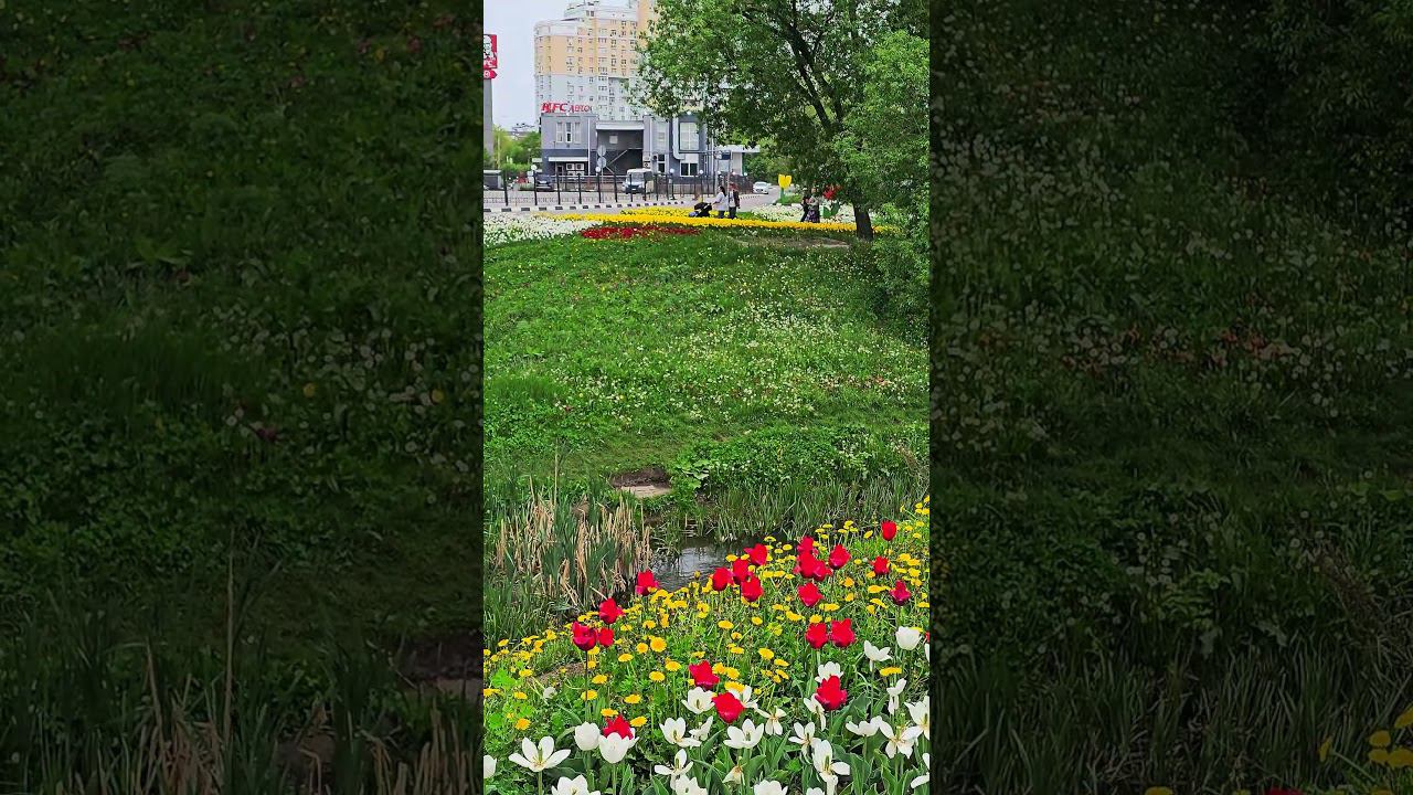 Белгород, в парке Победы. Belgorod, in Victory Park. #белгород  #цветы  #парк  #belgorod  #flowers