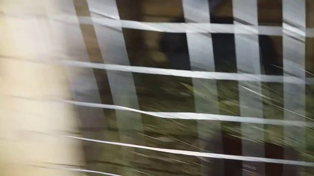 неделя выпала из жизни!! кролики!! болею!! смотреть онлайн