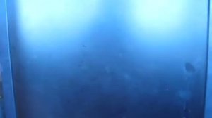 как разогнать процессор интел кор 2 дуал