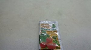 ПОДКОРМКА ТОМАТОВ БОРОМ. ПОДРОБНО. Ольга Чернова.