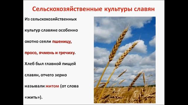 Расселение восточных славян. История 6 класс.