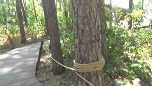 ВЛОГ. Парк динозавров, затерянный мир! VLOG. The dinosaur Park, the lost world!