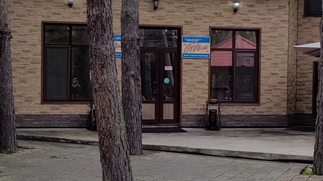 Путешествие на ниссан лиф смотреть онлайн