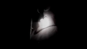 СТРАШНЫЕ ИСТОРИИ НС НОЧЬ. СВИНТУС ЧАСТЬ 1
