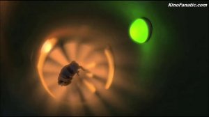 Звёздные собаки Белка и Стрелка-Zvyozdnye-sobaki-Belka-i-Str