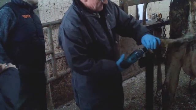 Обрезка хвоста 3 смотреть онлайн