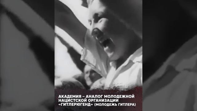 Академия смерти: Украина создает армию детей

Новостной телеканал США News Nation показал академию,