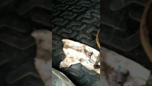 Снимаем ручку АКПП на Нисса x-trail.