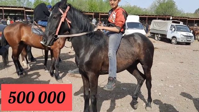 07 05 2023 Мал базар Алматы Аттардың бағасы.