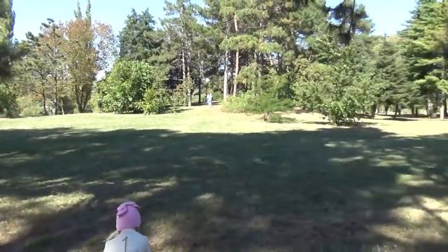Наедине с природой в центре Краснодара. Ботанический сад им. Косенко. КубГАУ.