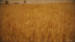 Средь полей Руси широких 432 Гц _ Славянские гусли - Кирилл Богомилов _ Славянск