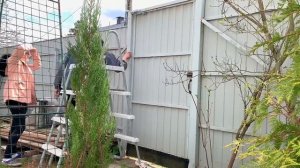 VLOG Ставим доводчик на калитку! Достала хлопать! 2.05.22