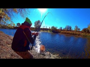 ЭТО ОЗЕРО МЕТР ГЛУБИНОЙ КИШИТ КАРАСЯМИ. НЕ БЫЛИ НА ЭТОМ МЕСТЕ ЛЕТ 15. РЫБАЛКА НА ПОПЛАВОК