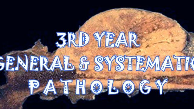 42/ GIT from Lauren classification Carcinoma of stomach to End of malabsorption pathology dr. faisa смотреть онлайн