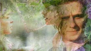 Клён ...Сергей Завьялов