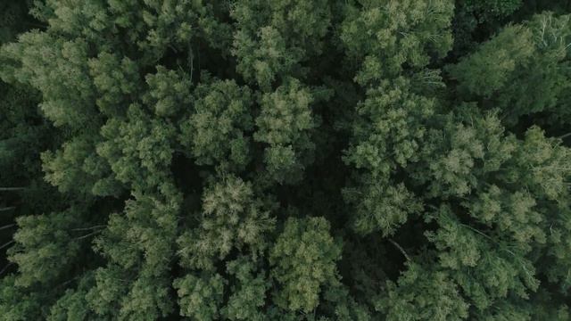 Субсидированная ипотека под 0.1% – исчезающий вид?